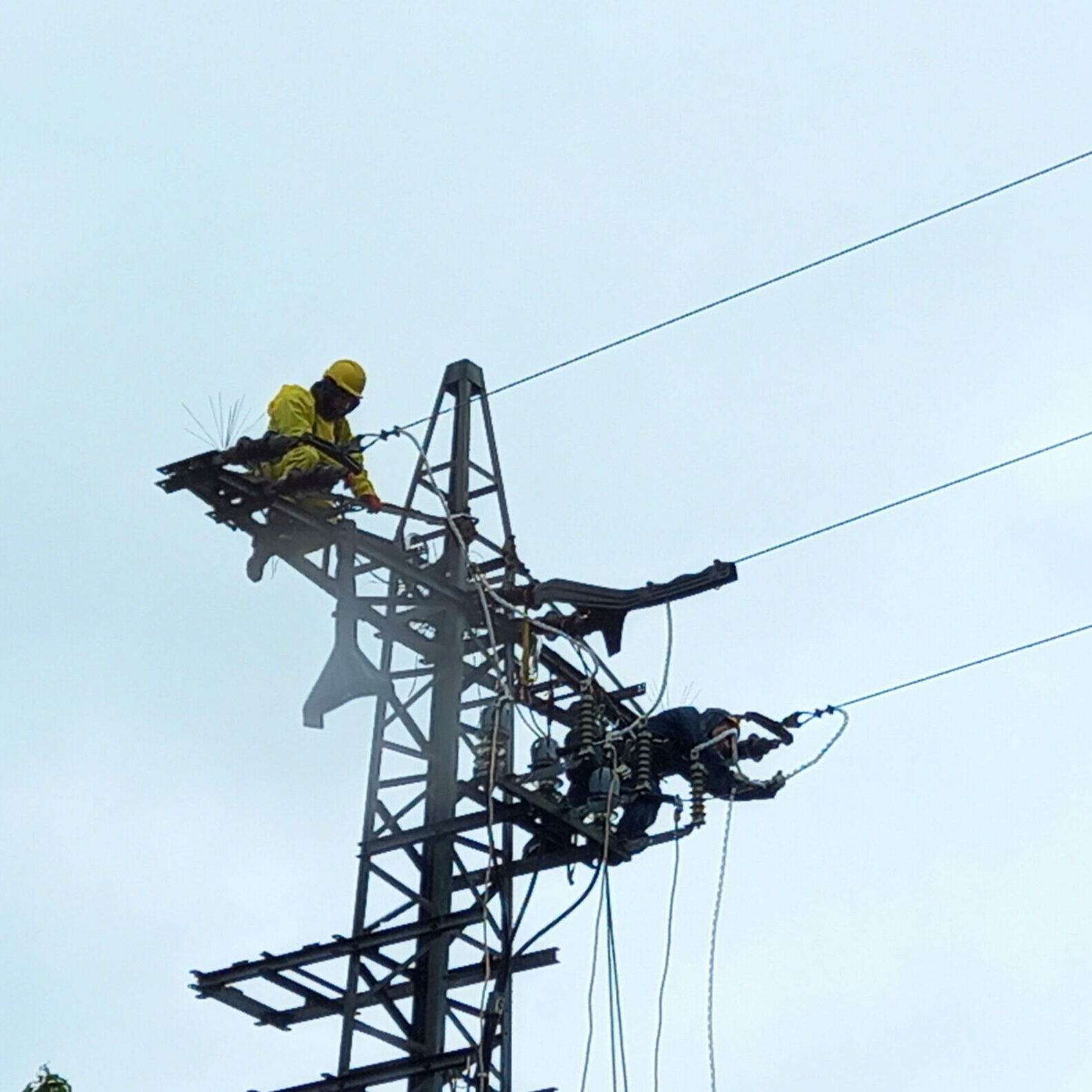 Alemania Salvapájaros 1